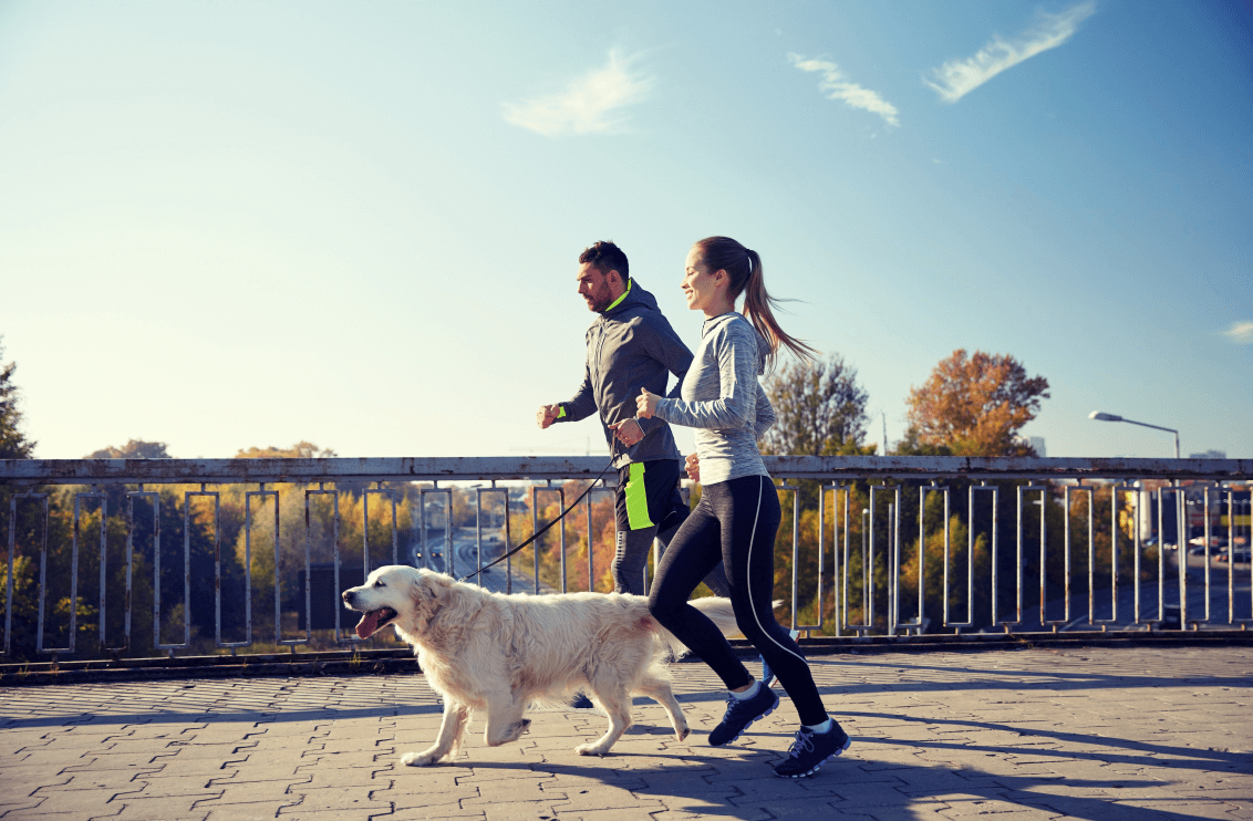a fotón egy férfi és egy nő kocognak, közöttük fut egy világos szőrzetű kutya pórázon