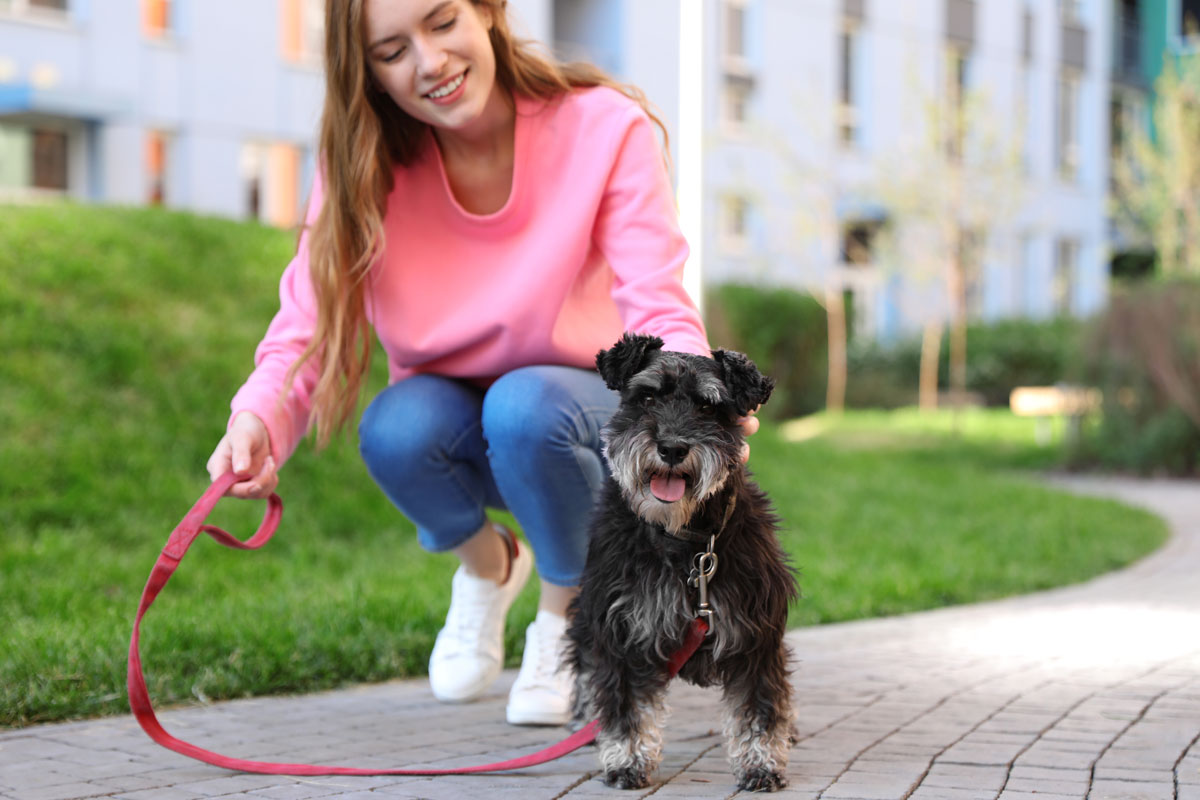 a fotón egy kistestű kutya látható pórázon, mellette a gazdája guggol, valószínűleg egy fiatal nő, és lakóparkban lehetnek egy sétaúton
