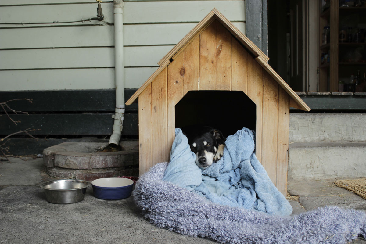 a fotón egy kutyaházat látunk a ház oldalában, a kutyaházban, vastag pléden és takarón fekszik egy kutya