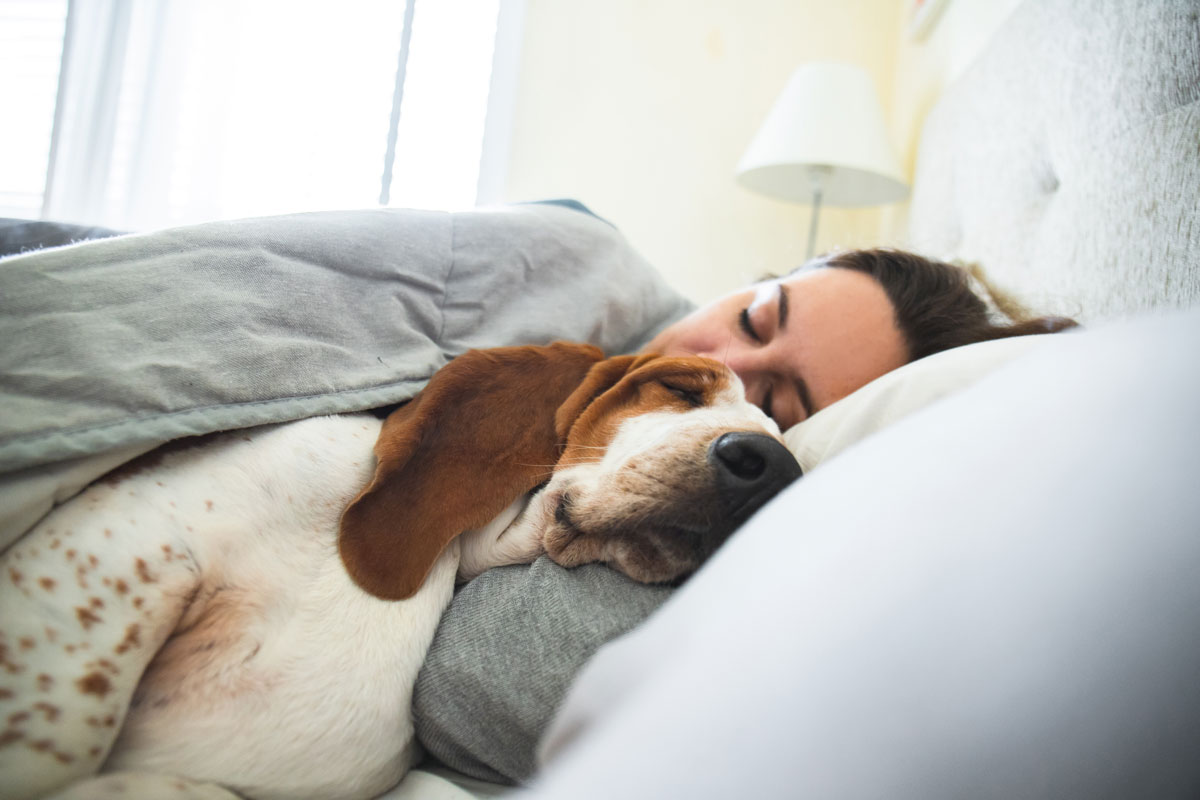 a fotón egy fiatal nő látható, amint kutyájával együtt alszanak az ágyban