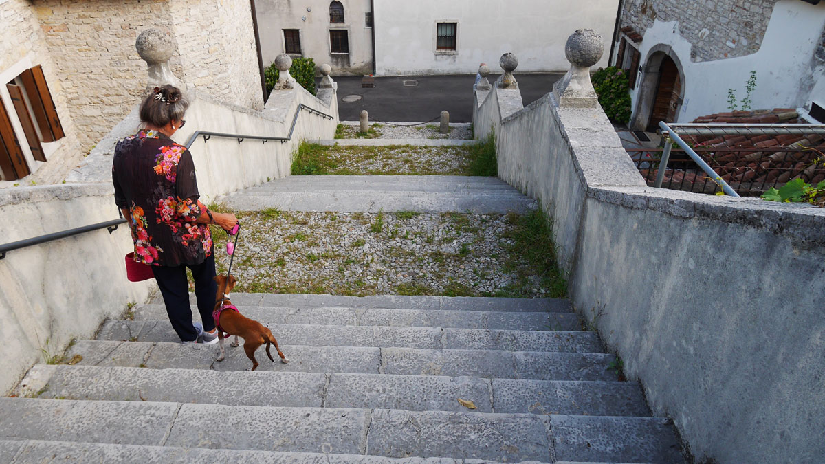 a fotón egy lépcsősor látszik, amelyen egy hölgy megy lefelé, pórázon vezetve kistestű kutyáját