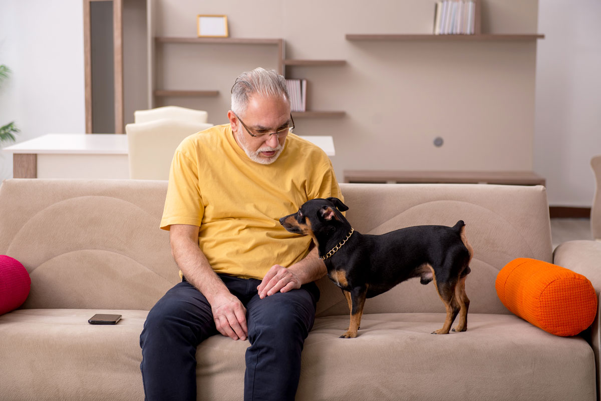 a fotón egy idősebb férfi ül a szobában, mellette kistestű kutyája áll a kanapén, beszélgetnek