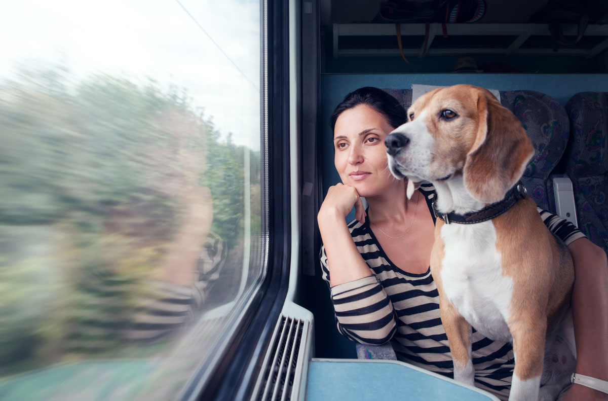 a fotón egy nő és kutyája látható, akik egy vonaton ülnek az ablak mellett, és az elsuhanó tájat - bokrokat - nézik.